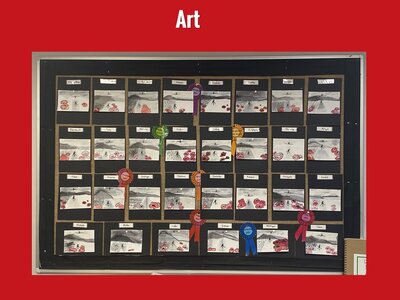 Image of Curriculum - Art - Remembrance Day Displays