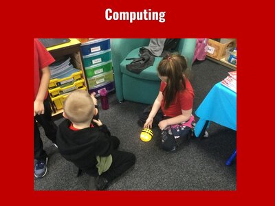 Image of Curriculum - Computing - Bee Bots