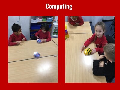 Image of Curriculum - Computing - Beebots