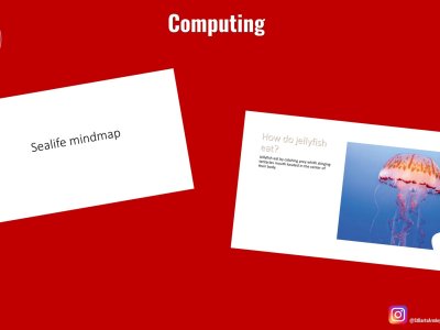 Image of Curriculum - Computing - Sealife PowerPoint Presentations
