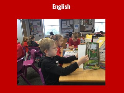 Image of Curriculum - English - Reading Stories