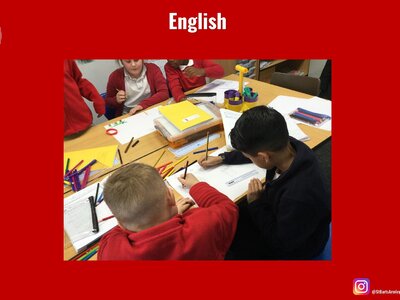 Image of Curriculum - English - Surviving in the Rainforest