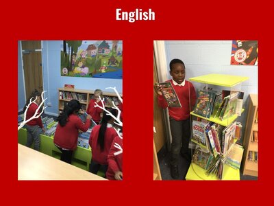 Image of Curriculum - English - The School Library