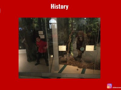 Image of Curriculum - History - Leeds City Museum Trip