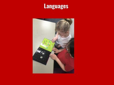 Image of Curriculum - Languages - Bonne Nuit Petit Monstre Vert