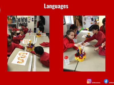 Image of Curriculum - Languages - French Traditions