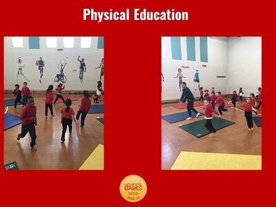 Image of Curriculum - Physical Education - Gymnastics