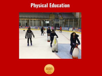 Image of Curriculum - Physical Education - Ice Skating (Class 10)