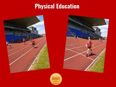 Image of Curriculum - Physical Education - Olympic Event Winners