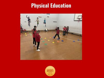 Image of Curriculum - Physical Education - Puzzles & Tasks