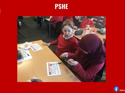 Image of Curriculum - PSHE - HMP Not For Me