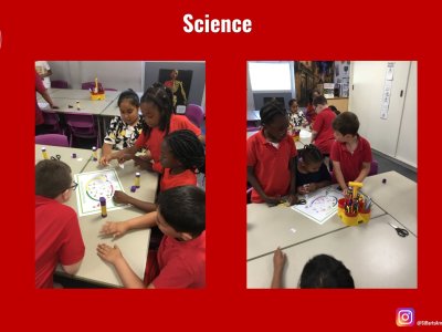 Image of Curriculum - Science - Amazing Bodies (Animals & Humans)
