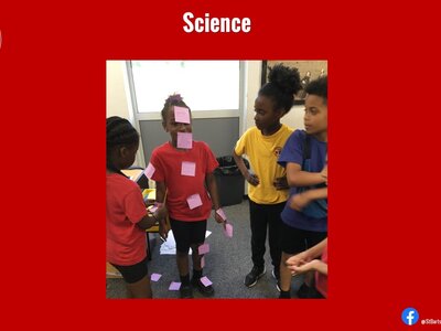 Image of Curriculum - Science - Amazing Bodies