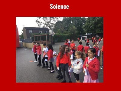 Image of Curriculum - Science - Animal Ears