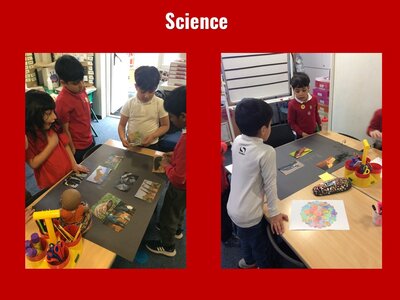 Image of Curriculum - Science - Animal Groups