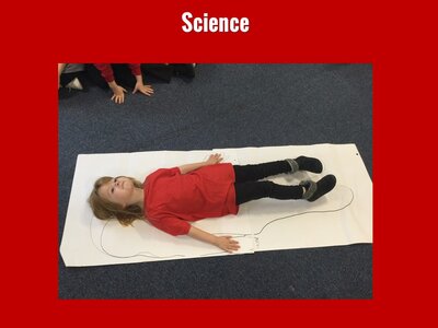 Image of Curriculum - Science - Body Parts