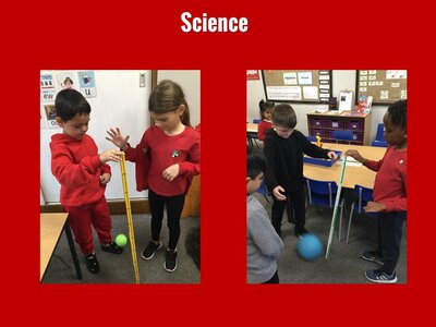 Image of Curriculum - Science - Bouncy Balls