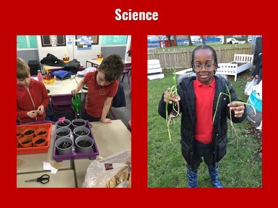 Image of Curriculum - Science - Checking our Crops