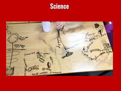 Image of Curriculum - Science - Concept Maps