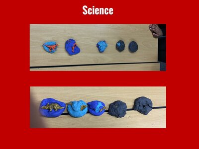 Image of Curriculum - Science - Dinosaur Fossils