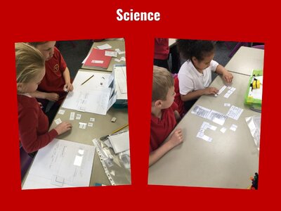 Image of Curriculum - Science - Electricity