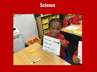 Image of Curriculum - Science - Experiments