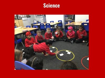 Image of Curriculum - Science - Exploring Objects