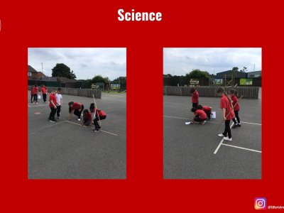 Image of Curriculum - Science - Femurs