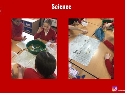 Image of Curriculum - Science - Filtering Techniques