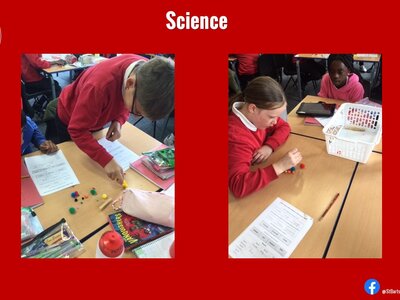 Image of Curriculum - Science - Finches on The Galápagos Islands