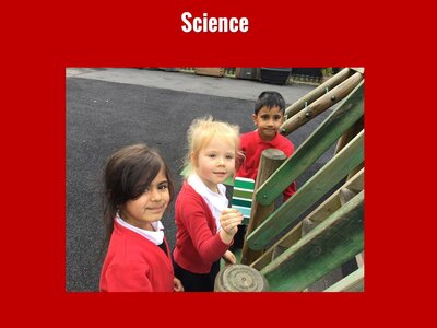 Image of Curriculum - Science - Five Senses