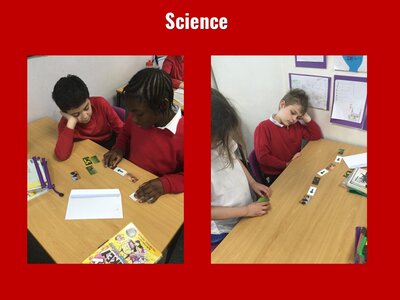 Image of Curriculum - Science - Food Chains (Class 12)