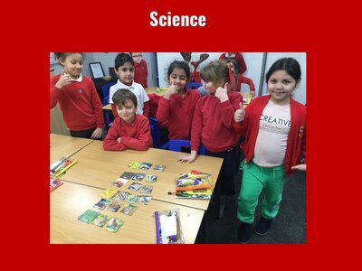 Image of Curriculum - Science - Food Chains