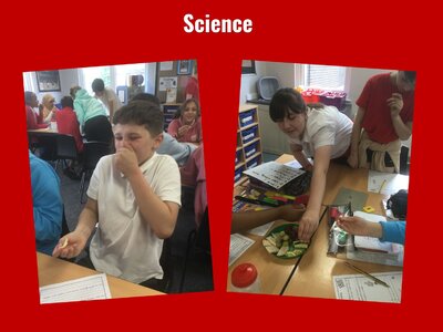 Image of Curriculum - Science - Food Tasting