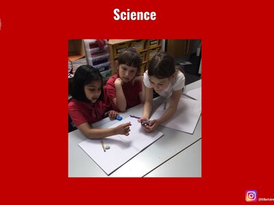 Image of Curriculum - Science - Forces and Magnets