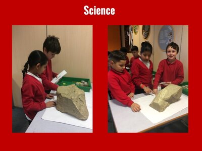 Image of Curriculum - Science - Fossils