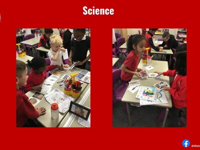 Image of Curriculum - Science - Fossil Formation