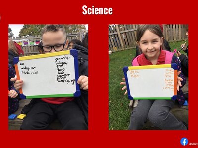 Image of Curriculum - Science - Grow to School Project