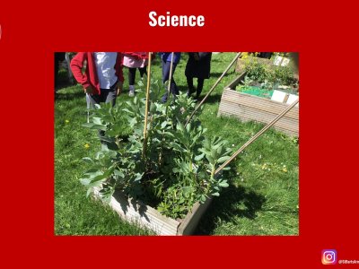 Image of Curriculum - Science - Grow to School Update (2026)