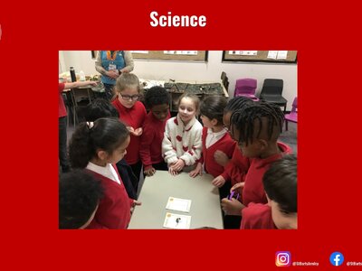 Image of Curriculum - Science - Grow to School