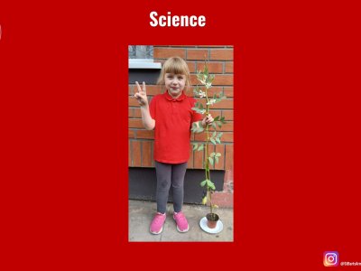 Image of Curriculum - Science - Grow Your Own