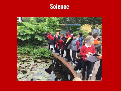 Image of Curriculum - Science - Harlow Carr Trip