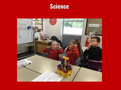 Image of Curriculum - Science - Hearing