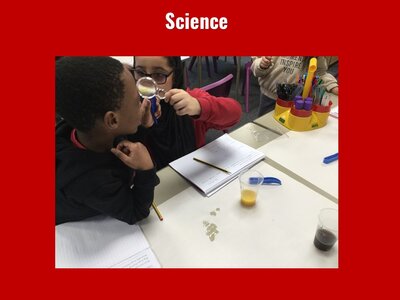 Image of Curriculum - Science - Human Teeth and Drinks