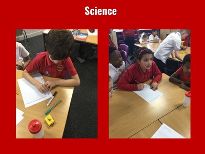 Image of Curriculum - Science - Ice Melting Experiment