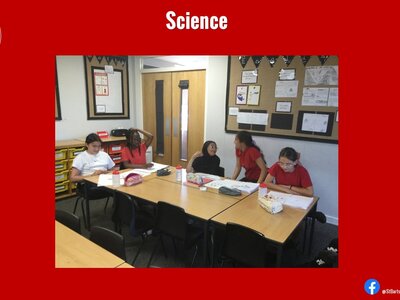 Image of Curriculum - Science - Inheritance