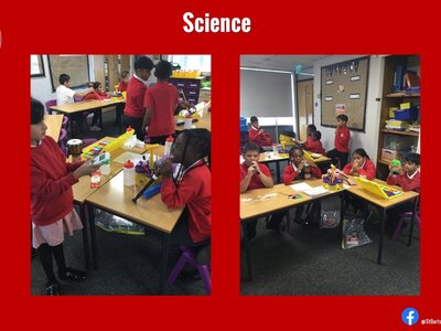 Image of Curriculum - Science - Investigating a Question