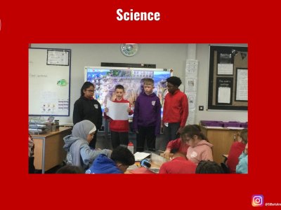 Image of Curriculum - Science - Life Cycles