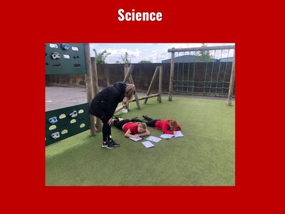 Image of Curriculum - Science - Light and Shadows