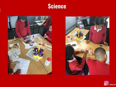 Image of Curriculum - Science - Linguistic Skills
